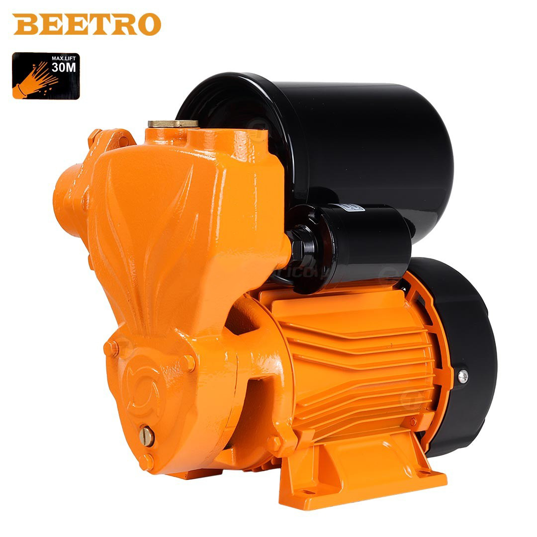 Pompe à eau avec interrupteur automatique ( SERVO ) 370W H.max 30m BEETRO